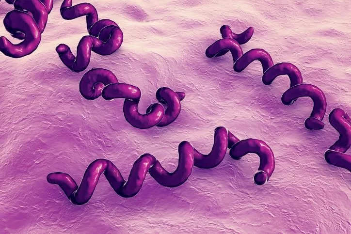 What Is Syphilis? 