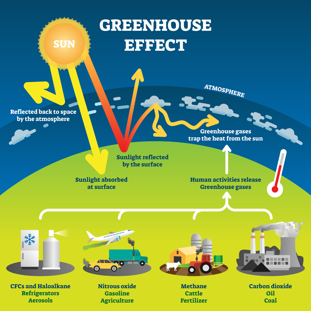 What is the Greenhouse Effect