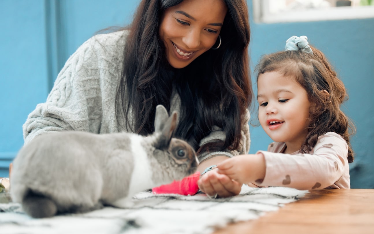Shot of a mother and daughter feeding their pet rabbit at home