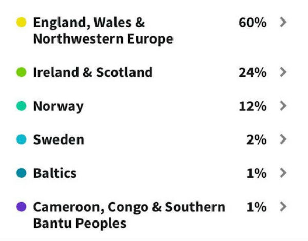 Screenshot of percentage chart from Ancestry.com Results
