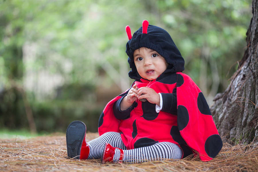 ladybug baby costume