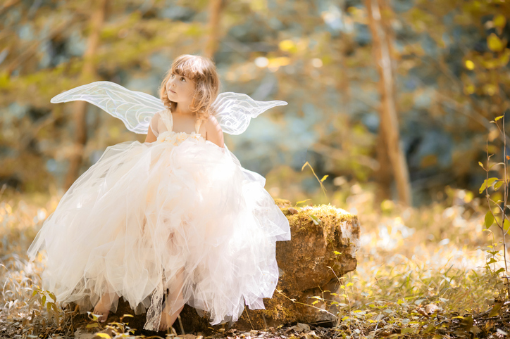 a beautiful little girl in a fairy costume 