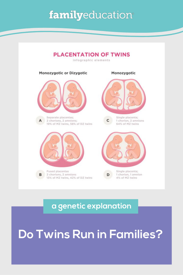 do twins run in families pinterest image