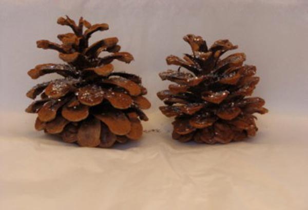 earth day crafts for kids: potpourri pinecones