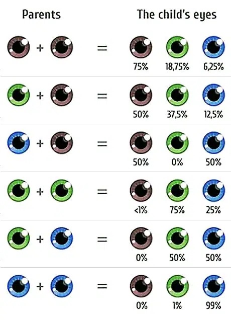 Can We Predict Eye Color?