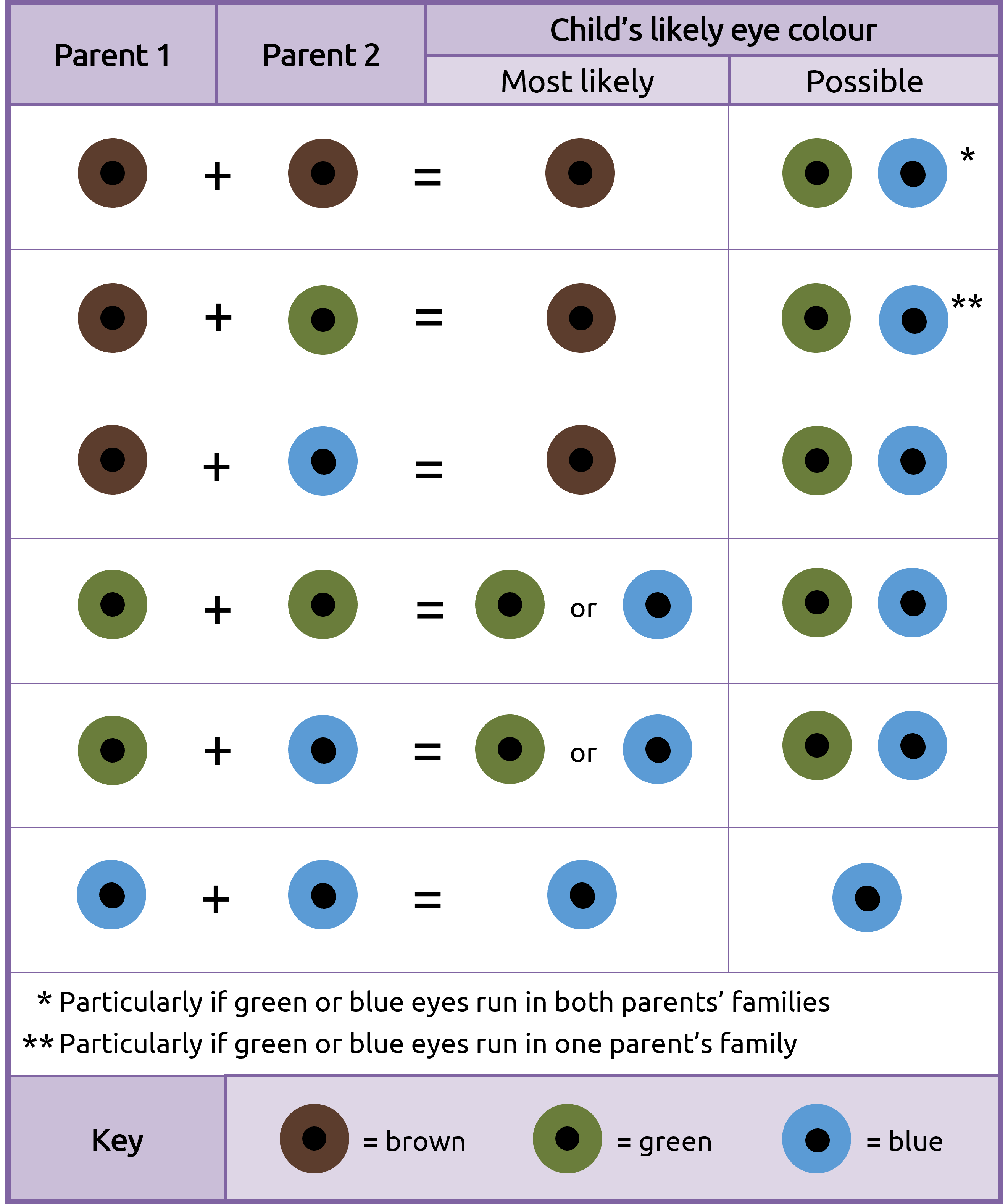 Chart to predict eye color based on genetic probability 