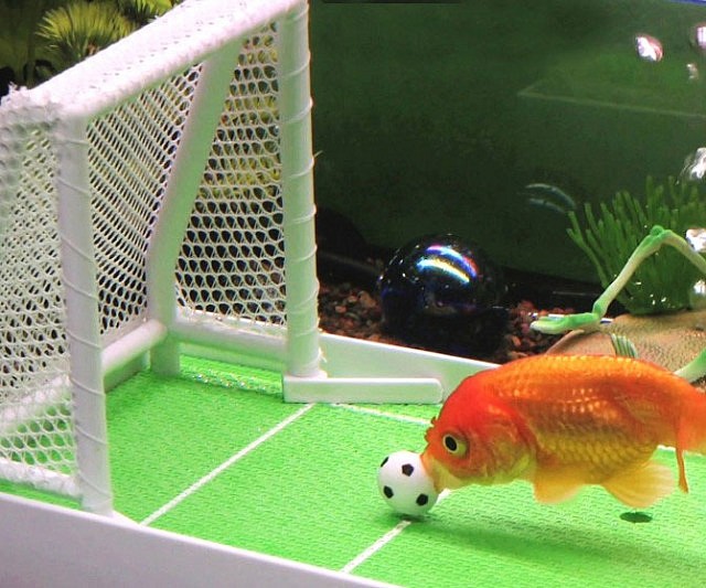 Goldfish Field Goal Game 