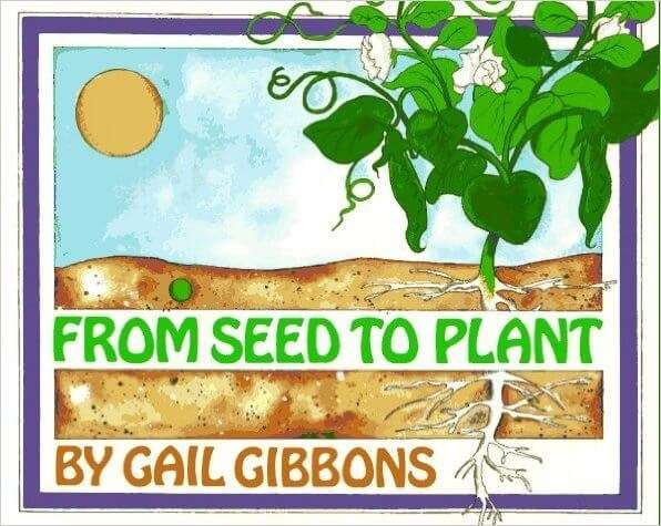 From Seed to Plant book