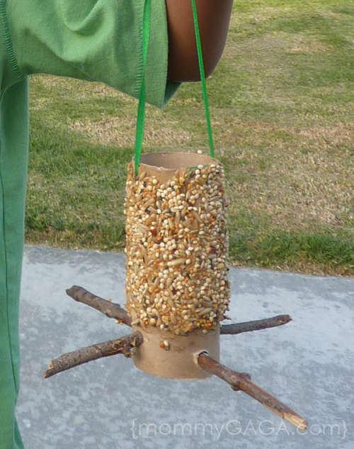 Toilet paper bird feeder crafts