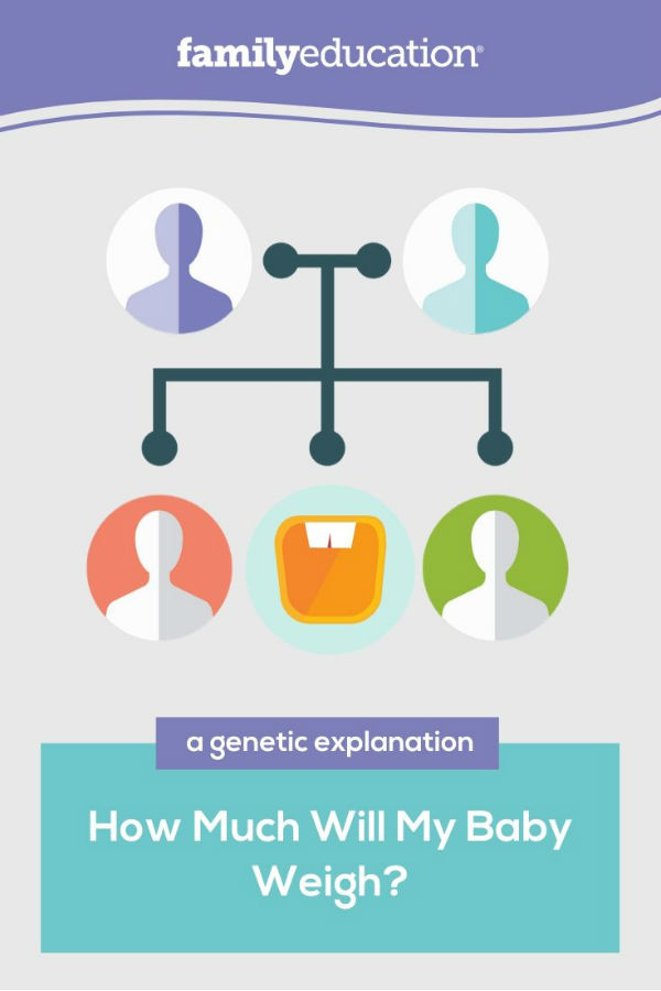 genetic explanation of how much will my baby weigh for pinterest
