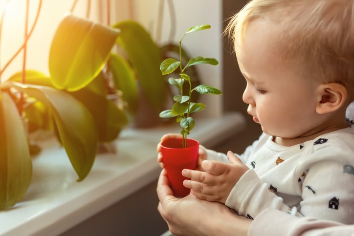 Nature baby