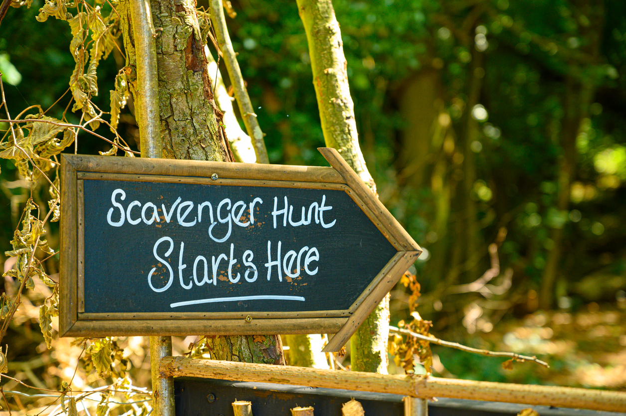 Scavenger hunt this way signpost in lush forest woodland