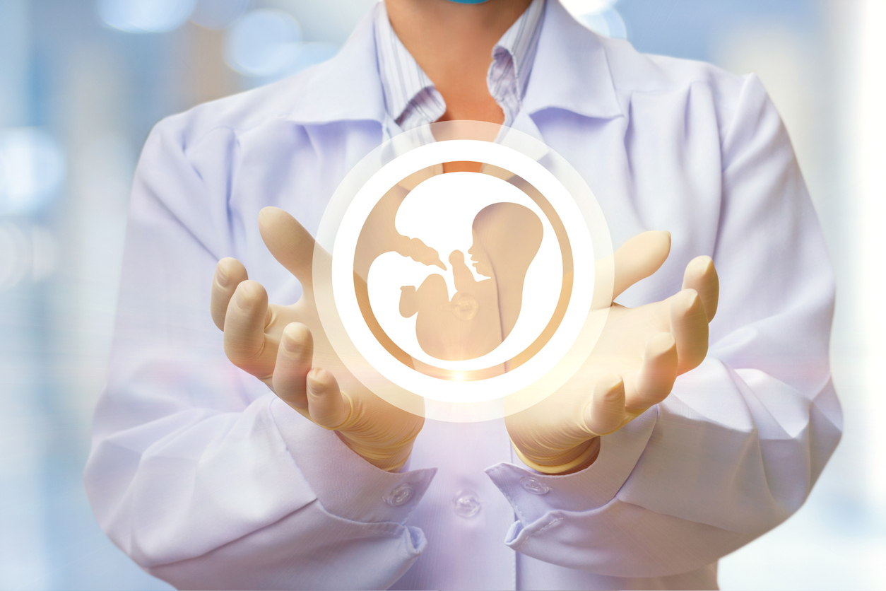 In the doctor's hands, the icon of the embryo on blurred background.
