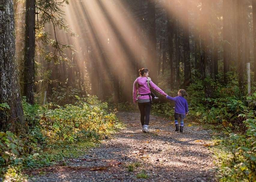 hiking tips for families with toddlers