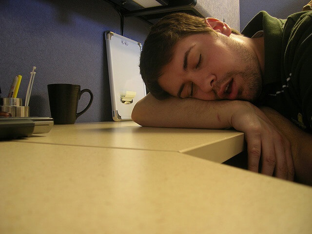 Man Napping at Desk