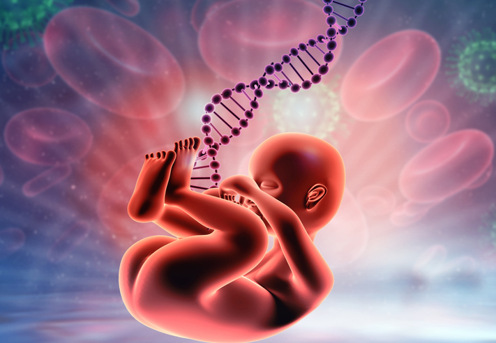 fetus genetic testing