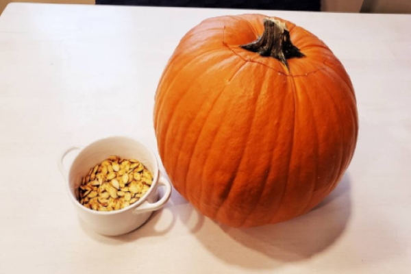 pumpkin seeds activity from kidiosity