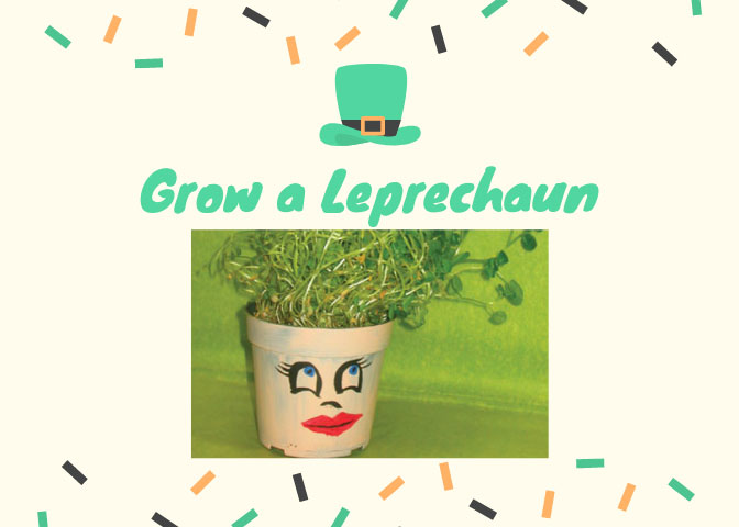 Grow a Leprechaun