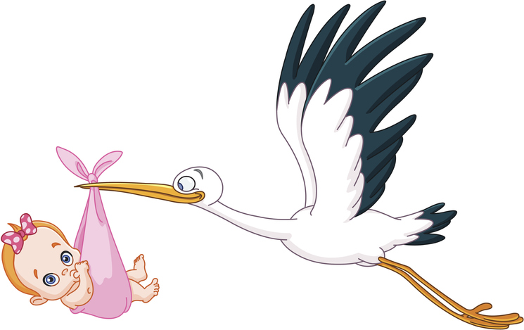 cartoon stork holding baby girl