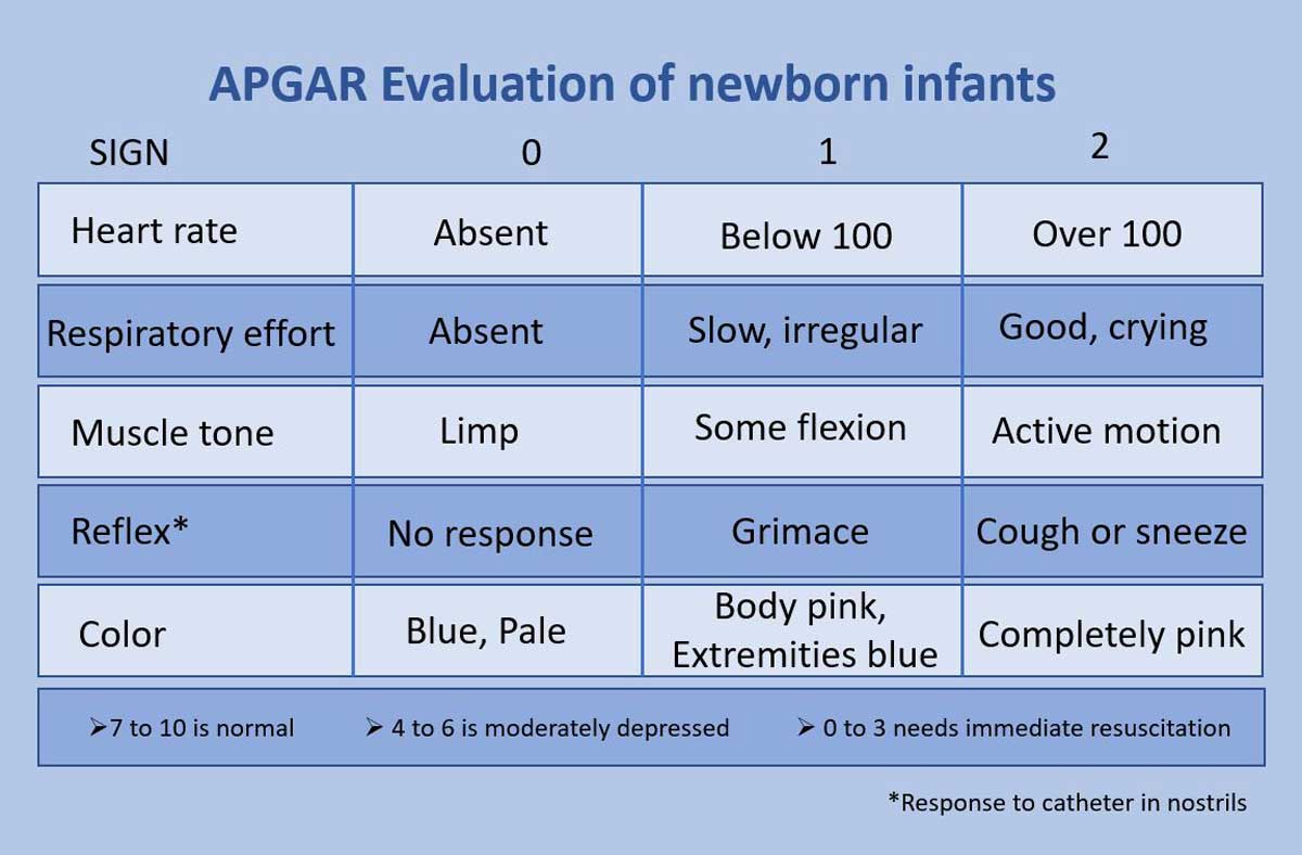 chart explaining apgar scoring system