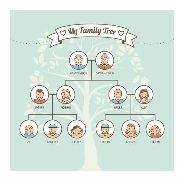 family tree genetics chart