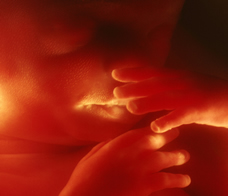 ultrasound of human fetus at 22 weeks and 5 days