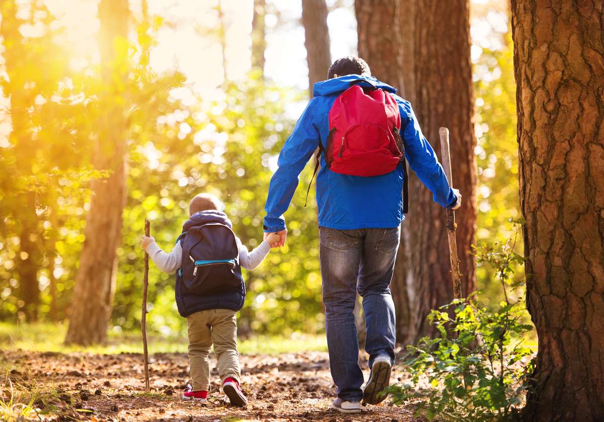 hiking tips for families with toddlers