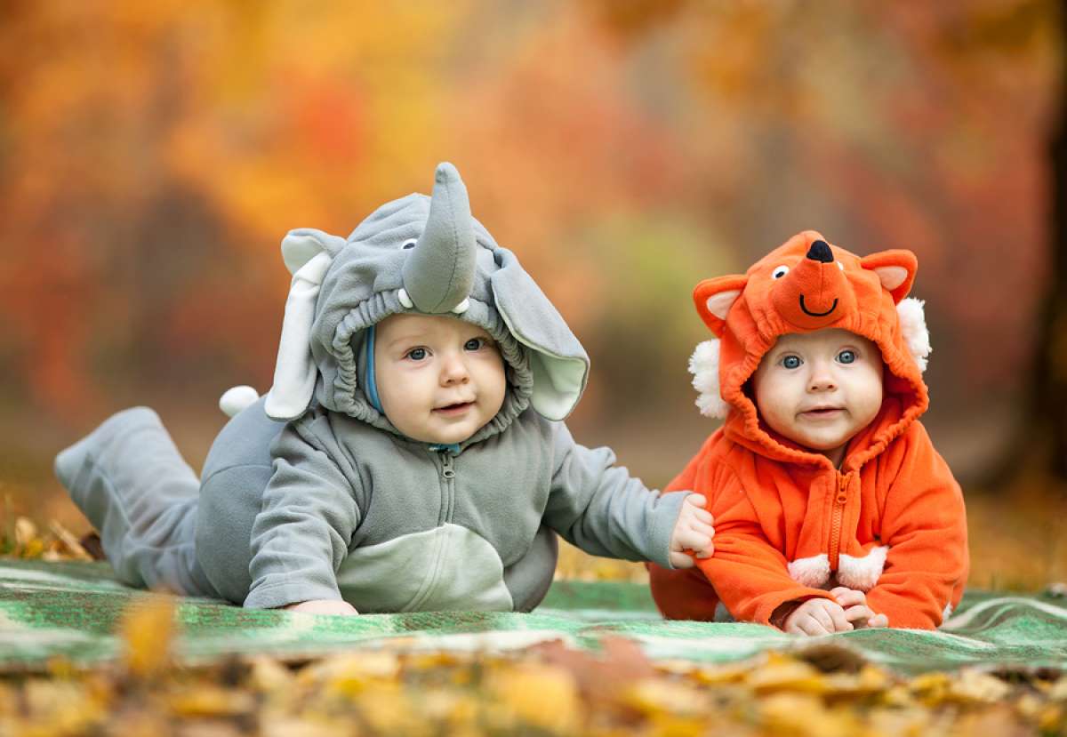 Beanie Baby Halloween Costume