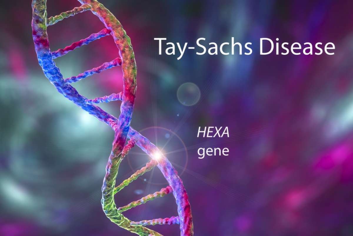 What is Tay-Sachs Disease?