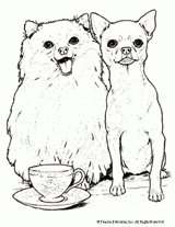 Pomeranian & Chihuahua Coloring Page