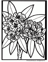 Great Laurel Flower Coloring Page