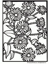 New England Aster Flower Coloring Page