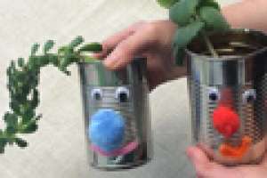 Planters Made from Tin Cans