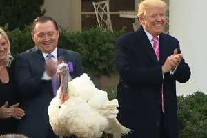 Thanksgiving Turkey Pardon Trump