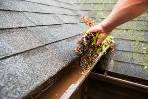cleaning the gutters for spring