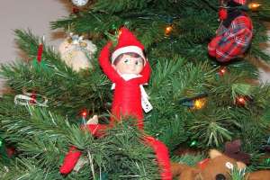 Picture of Elf on The Shelf doll sitting on Christmas tree