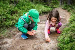 5 fun and educational activities for summer