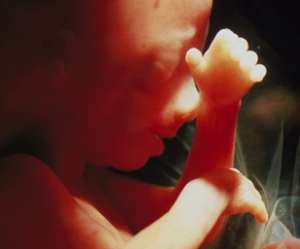 human fetus bringing hands to face at 16 weeks and 6 days