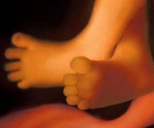 feet of human fetus at 17 weeks and 4 days