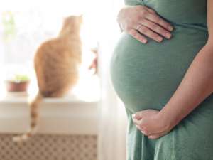 The Danger of Pets During Your Pregnancy