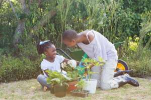 Gardening Activity for Kids