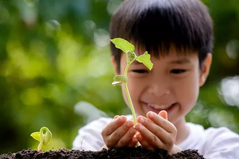 Young Boy Holding Seedling in Hands
