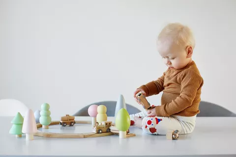 Wooden Toy Gift Baby Kids Intellectual Developmental Educational Early Learnings 