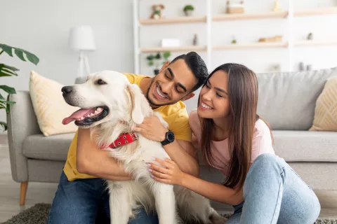 Dog Moms and Fur Babies: Why Millennials Compare Pets to Kids