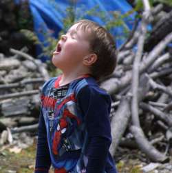 6 Common Seasonal Allergies in Kids 