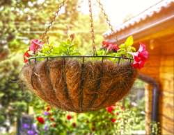 Hanging plant basket