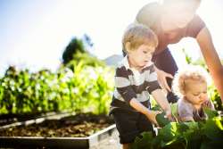 kids helping in the garden