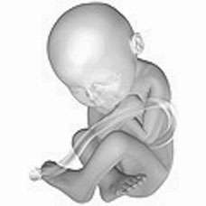 baby size at 38 weeks pregnant 5 days