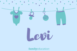 Meaning and Origin of Levi