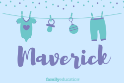 Meaning and Origin of Maverick